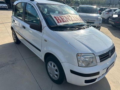 Fiat Panda 1.2 4x4 usata
