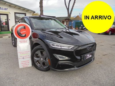 Ford Mustang Mach-E Standard 269CV usata