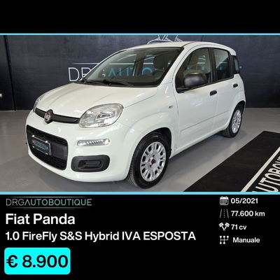 Fiat Panda 1.0 FireFly S&S Hybrid usata