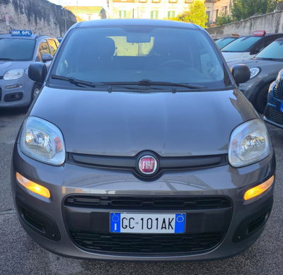 Fiat Panda 1.2 Easy usata