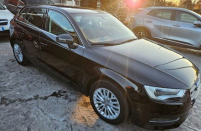 Audi A3 1.6 TDI clean diesel Ambition usata