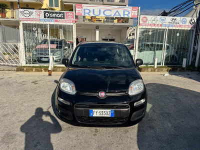 Fiat Panda 1.2 EasyPower Easy usata