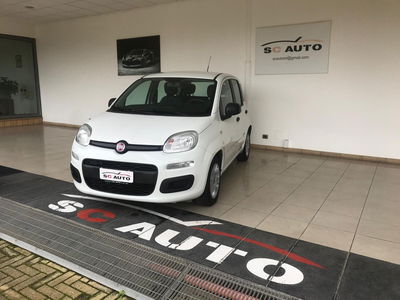 Fiat Panda 1.2 Easy usata