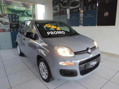 Fiat Panda 1.2 EasyPower Easy usata
