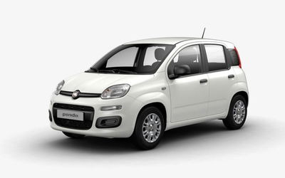 Fiat Panda Cross Cross 1.0 FireFly S&S Hybrid usata