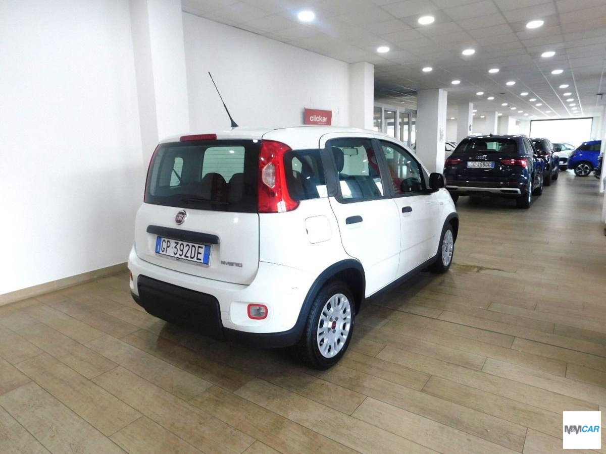 Fiat Panda 1.0 firefly hybrid Pop s&s 70cv (3)