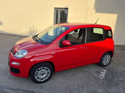 Fiat Panda 1.2 Easy usata