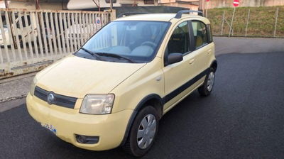 Fiat Panda 1.2 4x4 Climbing usata