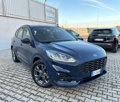 Ford Kuga 2.0 EcoBlue 120 CV aut. 2WD ST-Line X usata