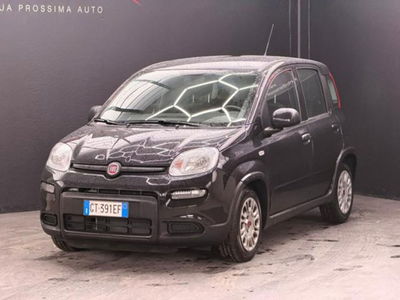Fiat Panda 1.0 firefly hybrid s&s 70cv usata