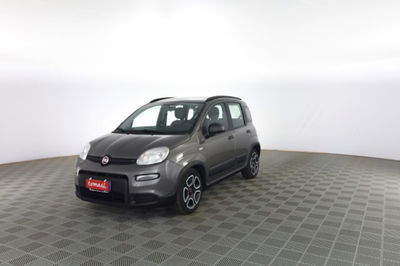 Fiat Panda 1.0 FireFly S&S Hybrid City Cross usata