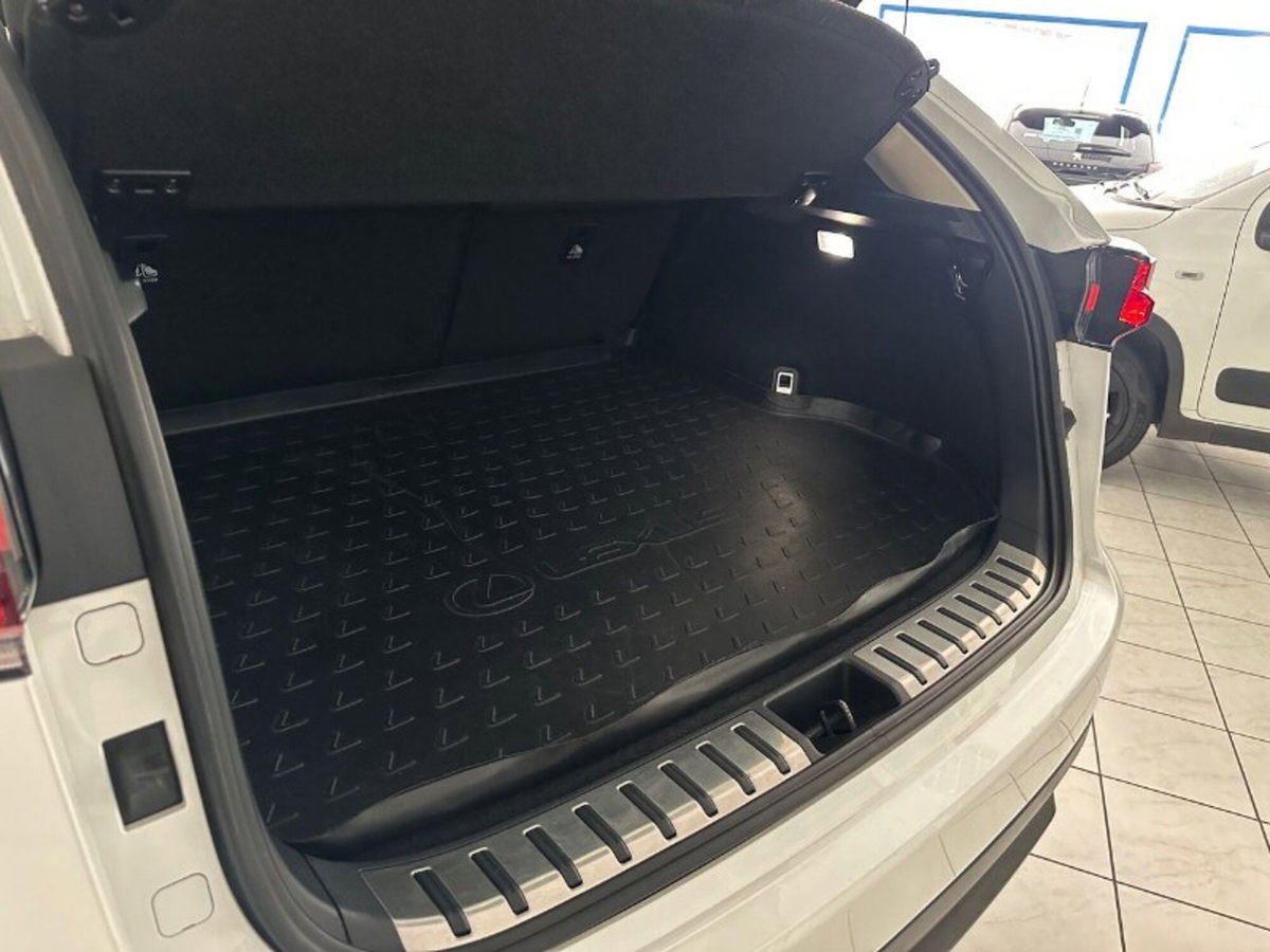 Lexus NX Hybrid 4WD F-Sport (13)