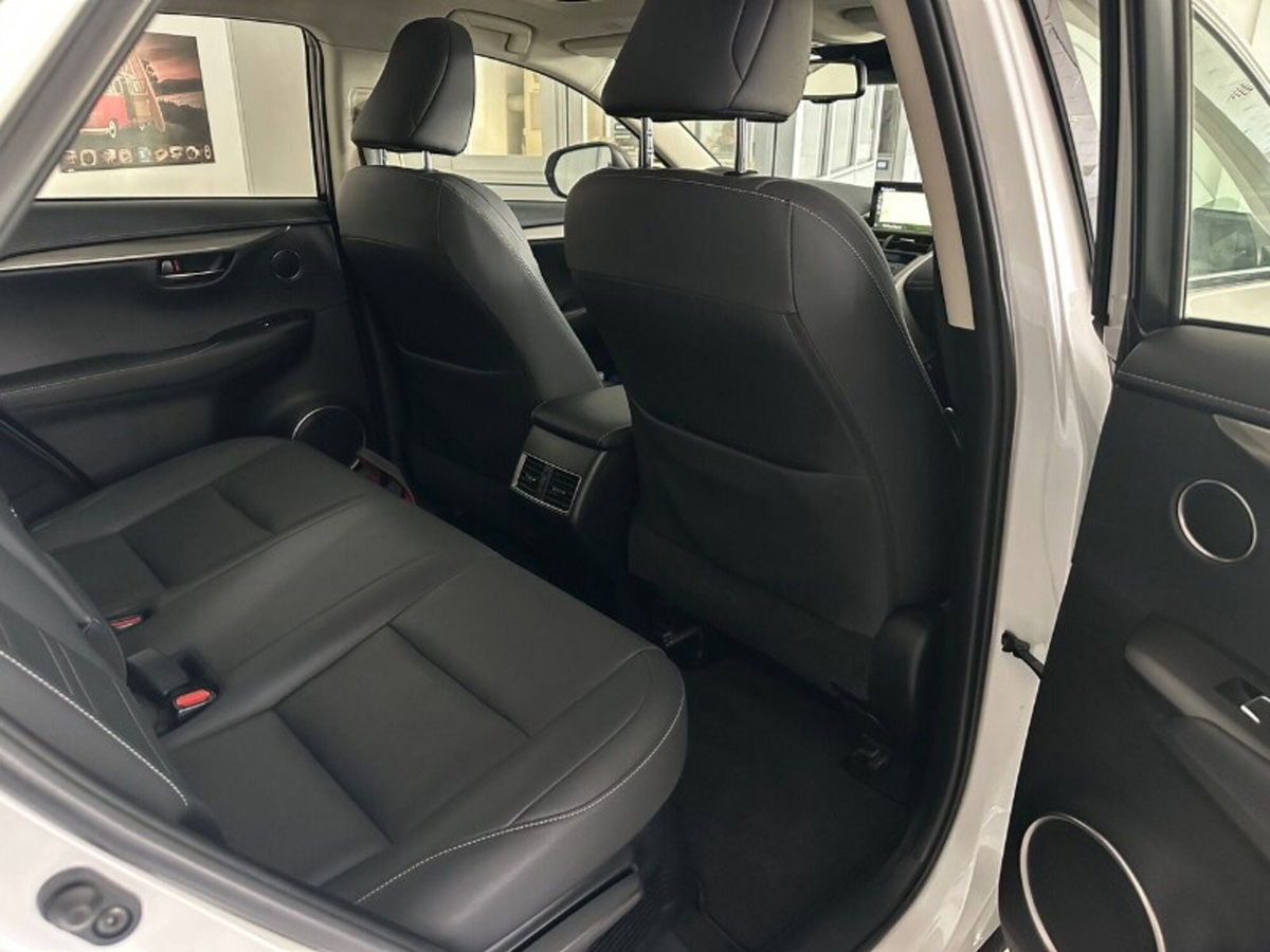 Lexus NX Hybrid 4WD F-Sport (14)