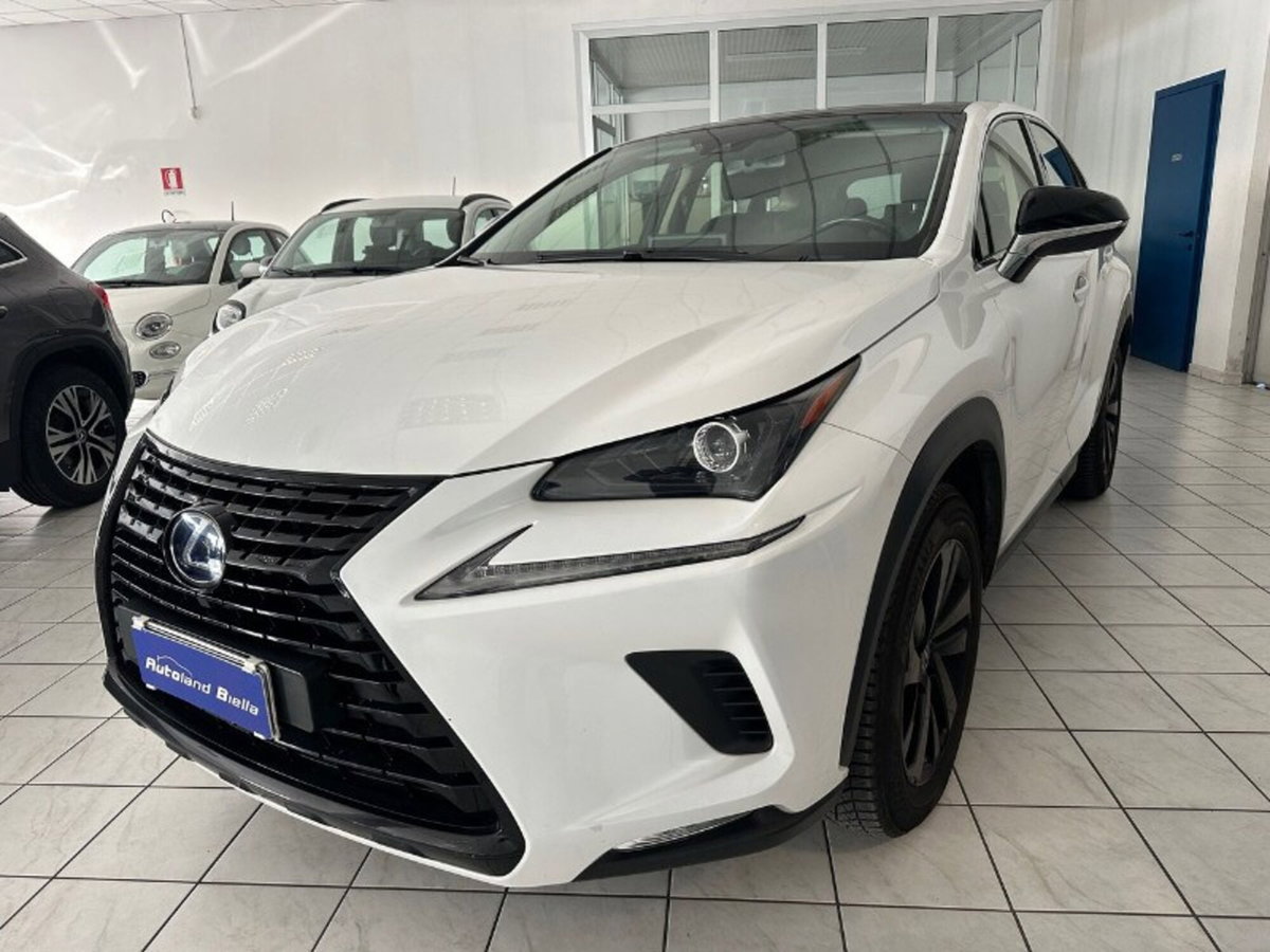 Lexus NX Hybrid 4WD F-Sport (2)