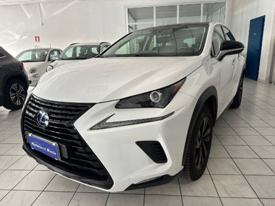 Lexus NX Hybrid 4WD F-Sport (2)