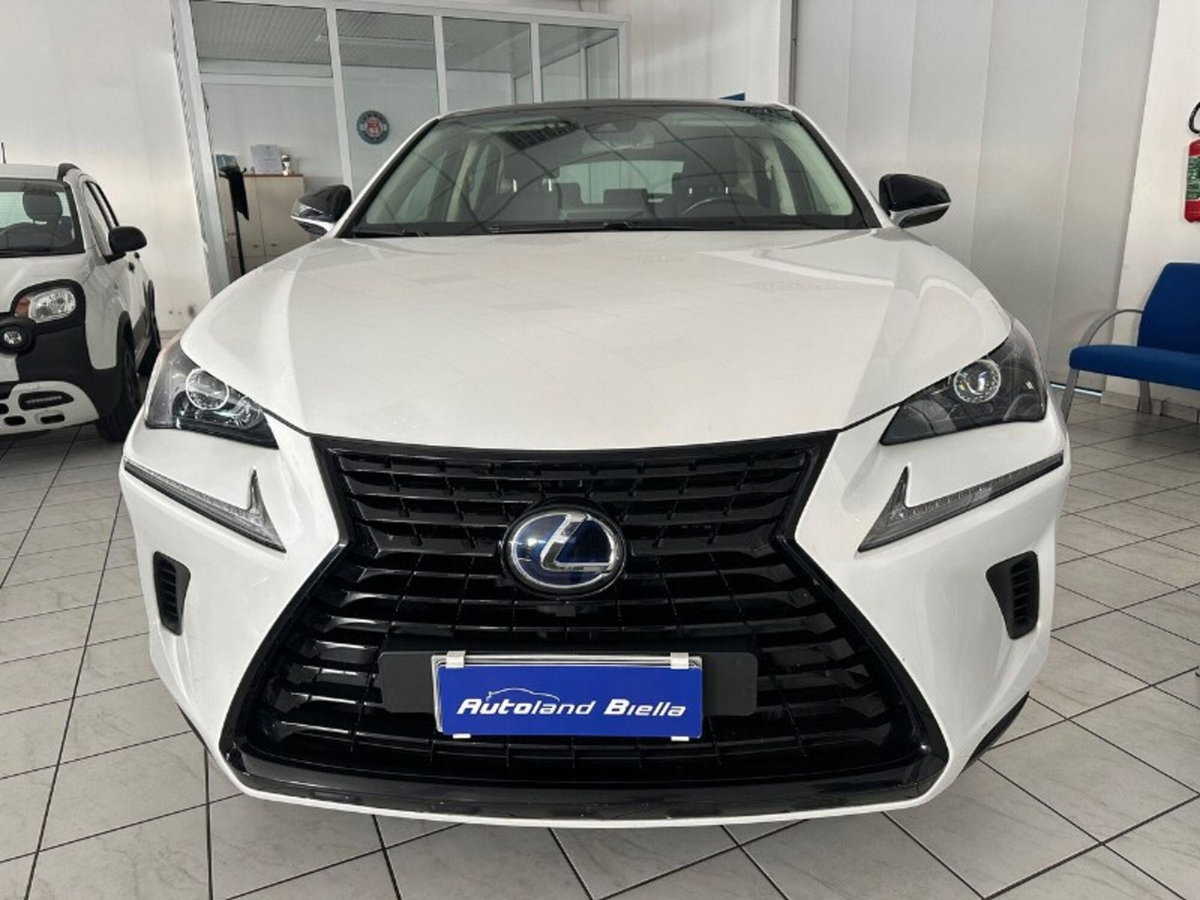 Lexus NX Hybrid 4WD F-Sport (3)