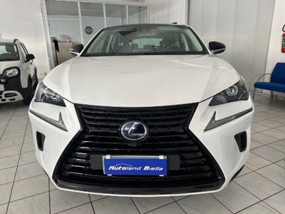 Lexus NX Hybrid 4WD F-Sport (3)