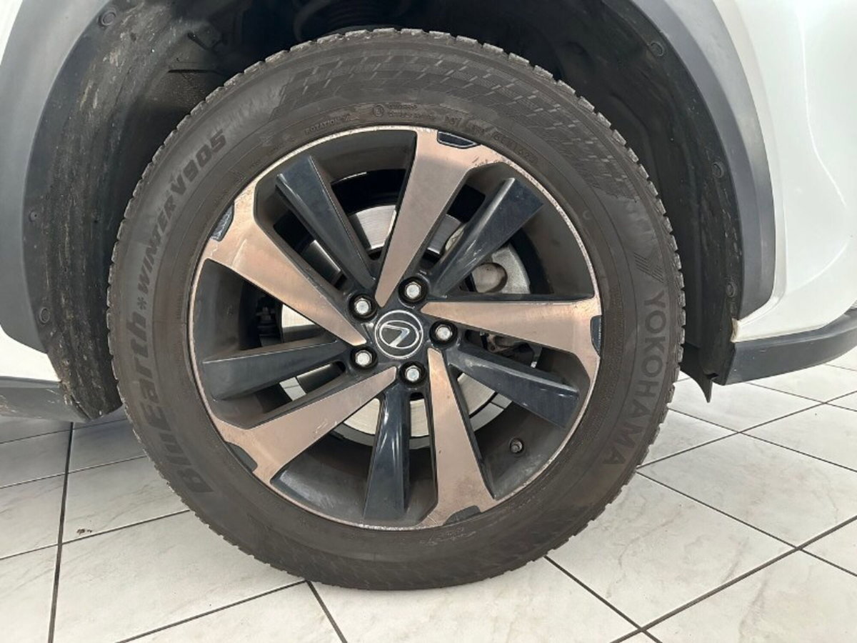 Lexus NX Hybrid 4WD F-Sport (4)