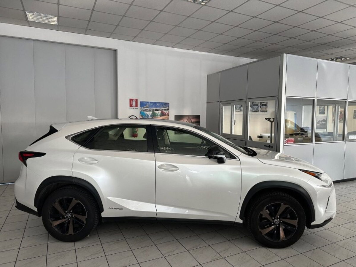 Lexus NX Hybrid 4WD F-Sport (5)