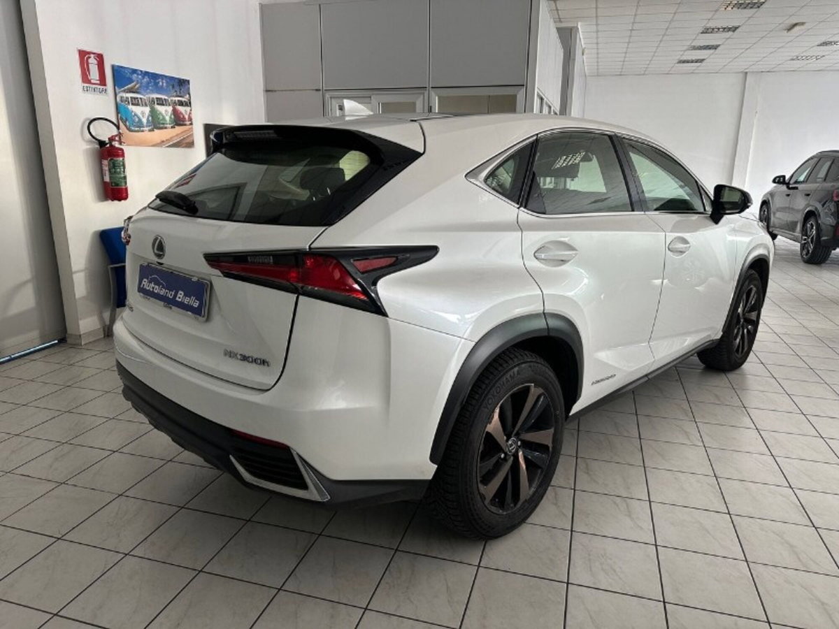 Lexus NX Hybrid 4WD F-Sport (6)