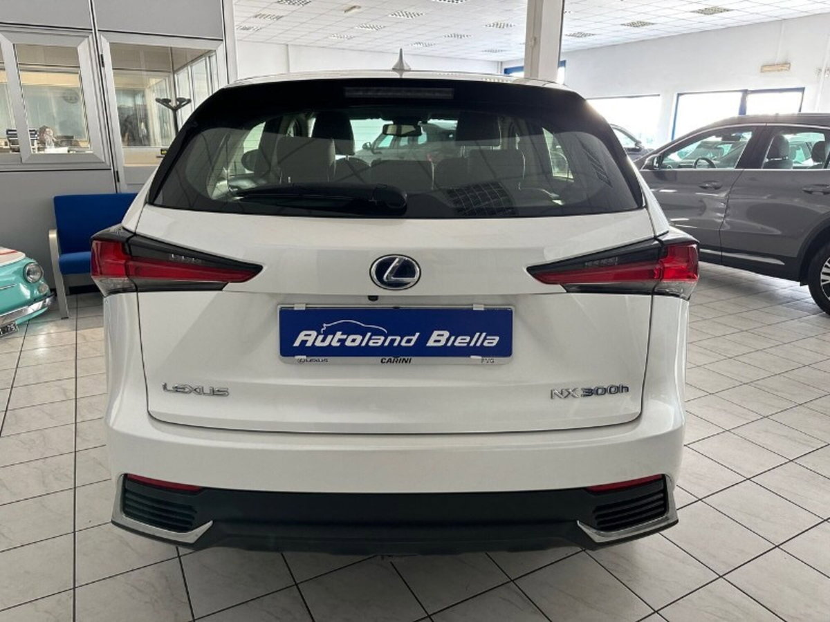 Lexus NX Hybrid 4WD F-Sport (7)