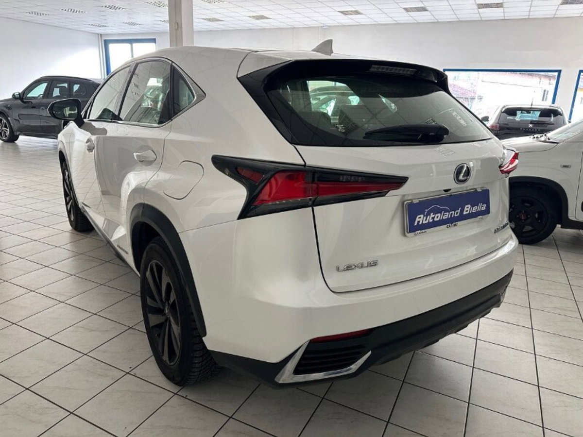 Lexus NX Hybrid 4WD F-Sport (8)