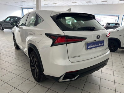Lexus NX Hybrid 4WD F-Sport (8)