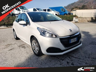 Peugeot 208 82 5 porte Active usata
