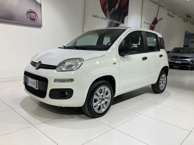 Fiat Panda 0.9 TwinAir Turbo Natural Power Easy usata
