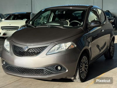 Lancia Ypsilon 1.2 69 CV 5 porte GPL Ecochic Alberta Ferretti usata