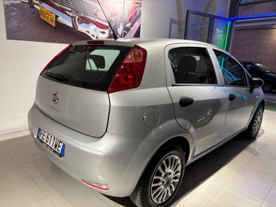 Fiat Punto 1.2 8V 5 porte Street (2)