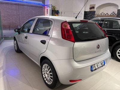 Fiat Punto 1.2 8V 5 porte Street (6)
