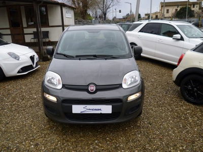 Fiat Panda 1.2 EasyPower Easy usata