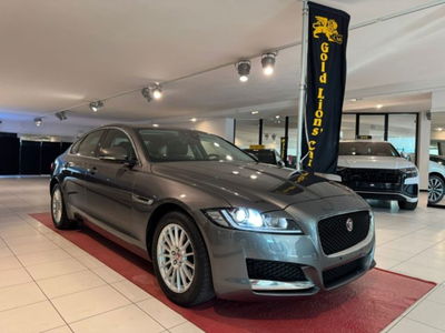 Jaguar XF 2.0 D 180 CV Pure usata