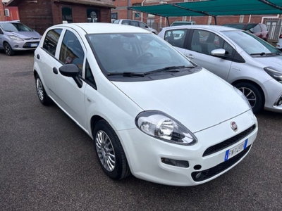 Fiat Punto 1.3 MJT II S&S 95 CV 5 porte Street (3)
