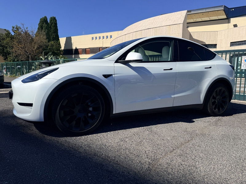 Tesla Model Y Long Range awd