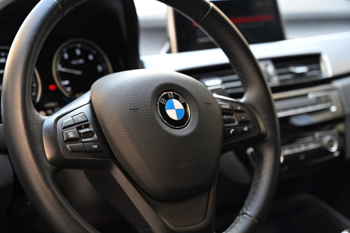 BMW X1 xDrive18d Business Advantage (18)