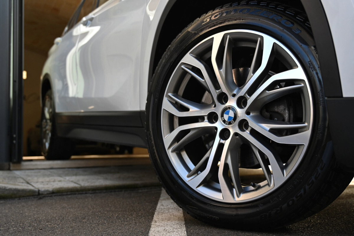 BMW X1 xDrive18d Business Advantage (5)