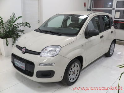 Fiat Panda 1.2 Easy usata