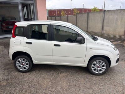 Fiat Panda 0.9 TwinAir Turbo Natural Power Easy usata
