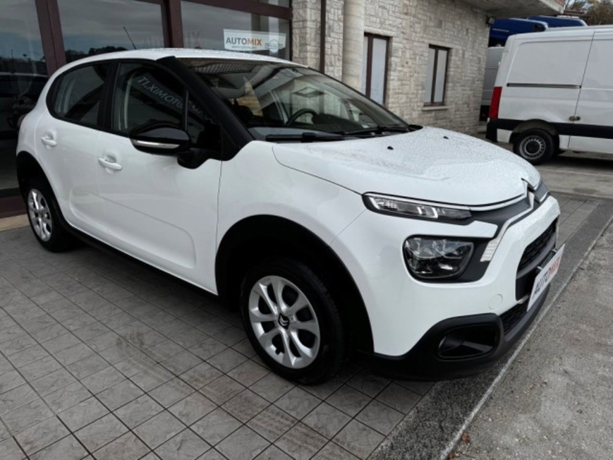 Citroen C3 BlueHDi 100 S&S Van Feel (10)