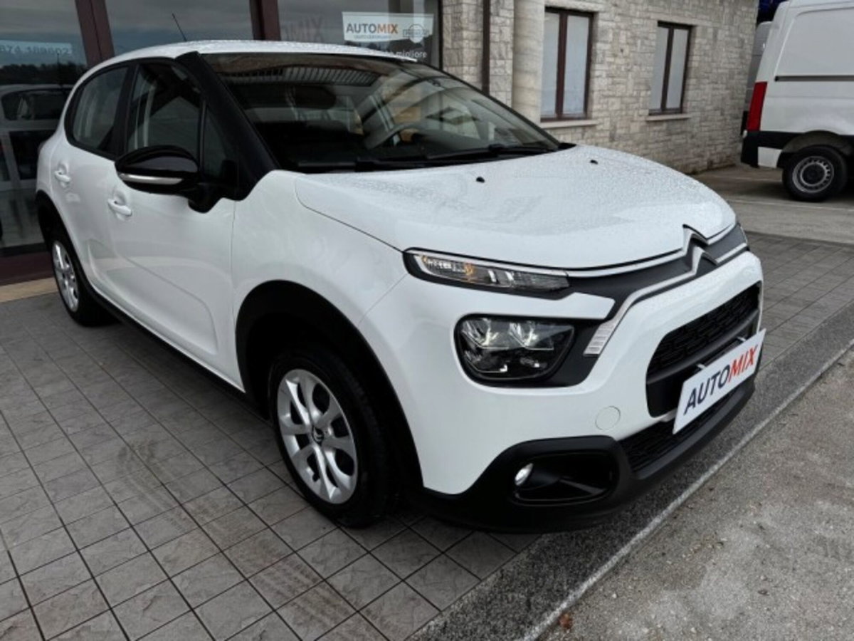 Citroen C3 BlueHDi 100 S&S Van Feel (9)