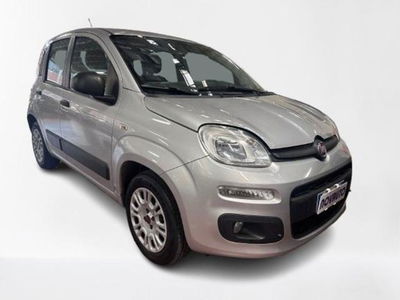 Fiat Panda 1.2 Easy usata