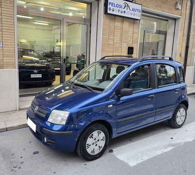 Fiat Panda 1.2 Dynamic usata