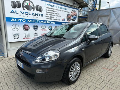 Fiat Punto 1.2 8V 5 porte Street usata