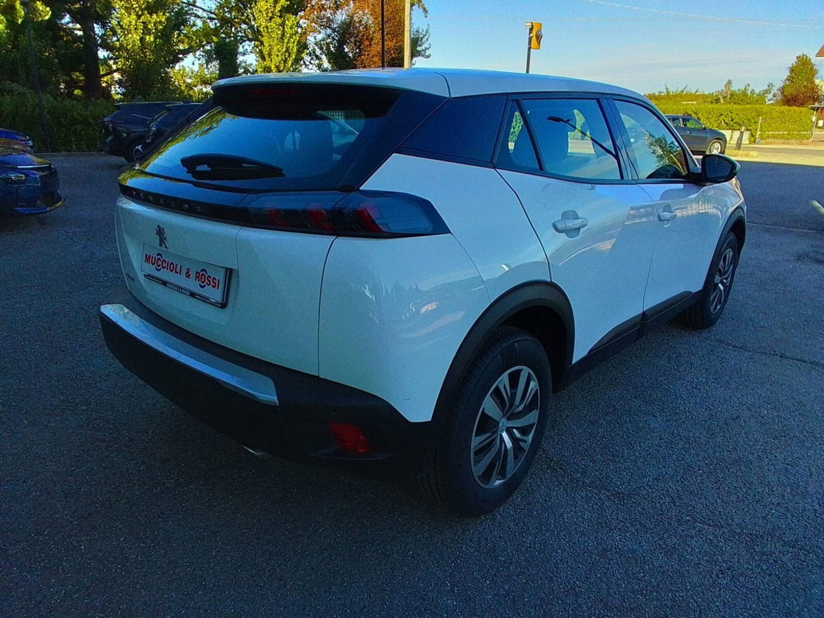 Peugeot 2008 BlueHDi 110 S&S Active (2)