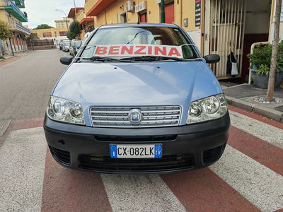 Fiat Punto 1.2 5 porte Dynamic usata