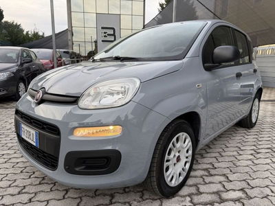 Fiat Panda 1.2 Easy usata
