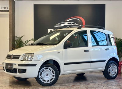Fiat Panda 1.2 Dynamic Natural Power usata