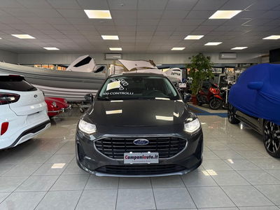 Ford Fiesta 1.1 75 CV GPL 5 porte Titanium usata